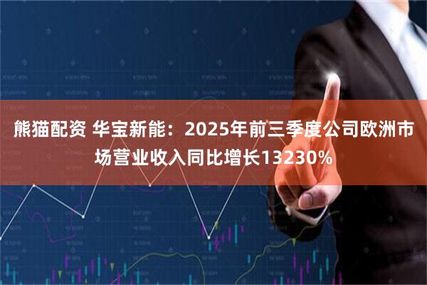 熊猫配资 华宝新能：2025年前三季度公司欧洲市场营业收入同比增长13230%