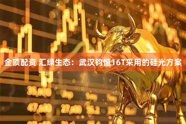 金顶配资 汇绿生态：武汉钧恒16T采用的硅光方案