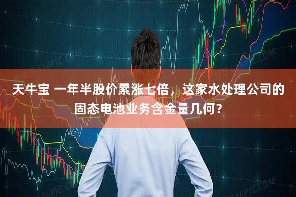 天牛宝 一年半股价累涨七倍，这家水处理公司的固态电池业务含金量几何？